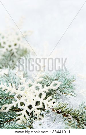 schneebedeckte Zweige der Fichte