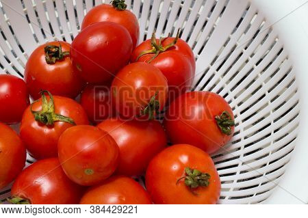juicy red tomatoes in table cloth . caro background