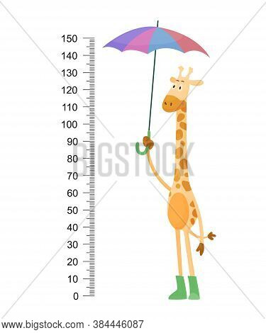 Funny Giraffe. Cheerful Funny Giraffe With Long Neck. Giraffe Meter Wall Or Height Chart Or Wall Sti