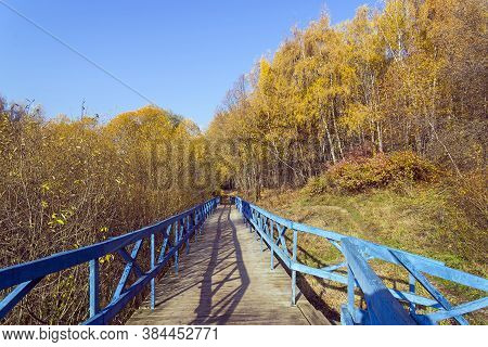 Trees With Yellowed Foliage On The Side Of A Ravine. Sunny Day In October. Landscape Reserve Teply S