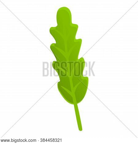Ruccola Icon. Cartoon Of Ruccola Vector Icon For Web Design Isolated On White Background