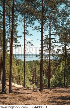 Vuoksa River Near Imatra In The Leningrad Region, Russia. Coastline With Pine Forest Reflected In Vu
