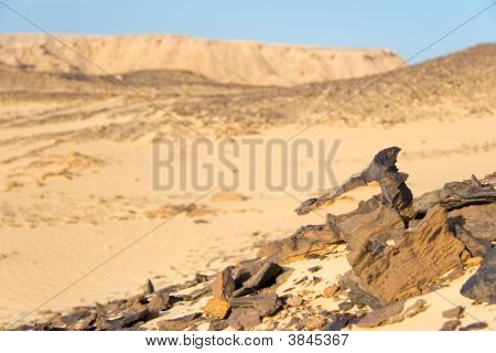 Formationen in den Felsen der Wüste