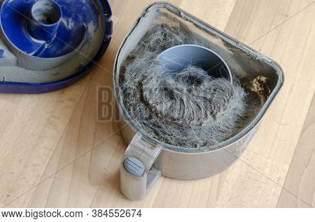 Vacuum Cleaner Container With Garbage. A Plastic Waste Container Full Of Dust And Wool. Cleaning Ser