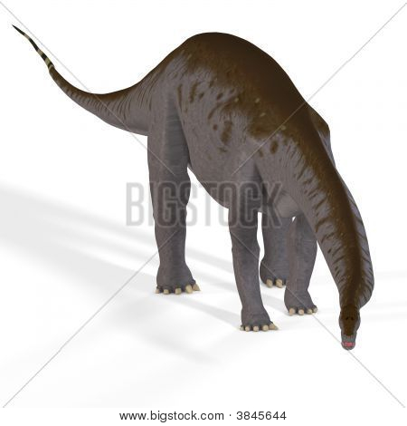 Brontosaurus Aka Brontosaurus