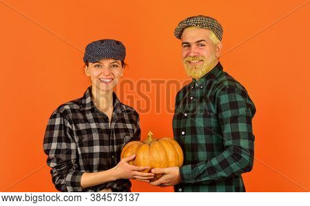 Farmers Market. Autumn Harvesting Works. Work At Fields. Harvest Festival. Autumn Mood. Couple In Lo