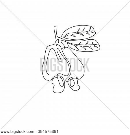 One Single Line Drawing Of Whole Healthy Organic Cashew Apple For Orchard Logo Identity. Fresh Tropi