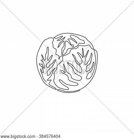 One Continuous Line Drawing Of Whole Healthy Organic Headed Cabbage For Farm Logo Identity. Fresh Bi