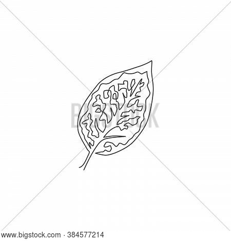 One Continuous Line Drawing Cute Tropical Leaf Aglaonema Plant. Printable Decorative Exotic Housepla