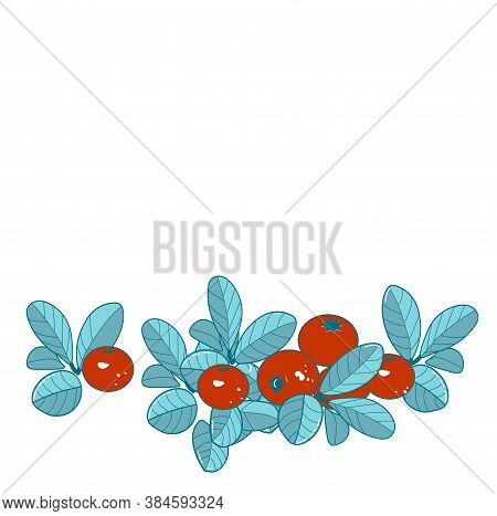 Vector Stock Illustration Of Cranberries. A Branch Of Cranberry Berries With Leaves. Beautiful Autum