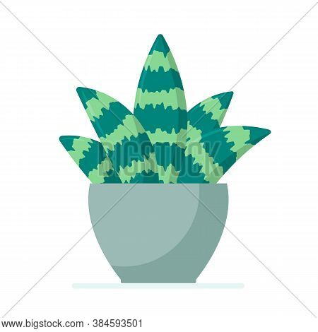 Flat Vector Illustration: Sansevieria In A Flower Pot. Isolated Illustration On A White Background.
