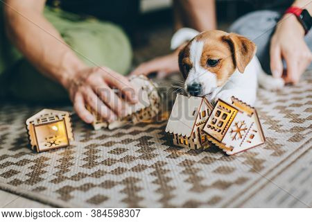 Adorable Puppy Jack Russell Terrier On The Capet Playing With Toys.  Portrait Of A Little Dog.