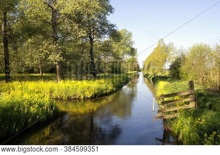 Canal In The Nature Reserve Alblasserbos Close To The Dutch Villages Wijngaarden En Papendrecht