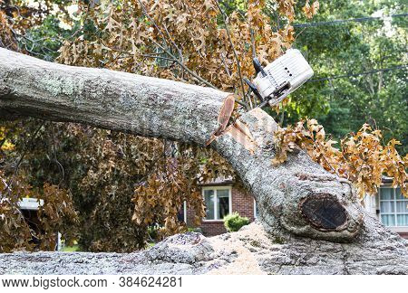 While Removing A Tree That Fell From Hurricaine Isaias I Chainsaw Is Stuck In The Tree As The Branch