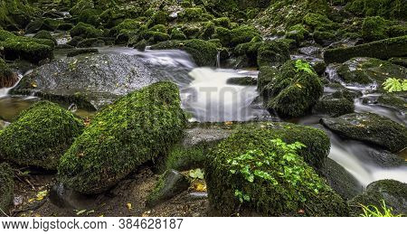 Kennall River In Kennall Vale Nature Reserve, Ponsanooth, Cornwall, United Kingdom