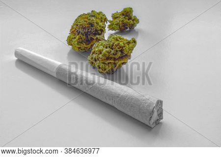 A Pre-roll Medicinal Cannabis Joint On A White Surface With 3 Flowers Of Cannabis On The Background