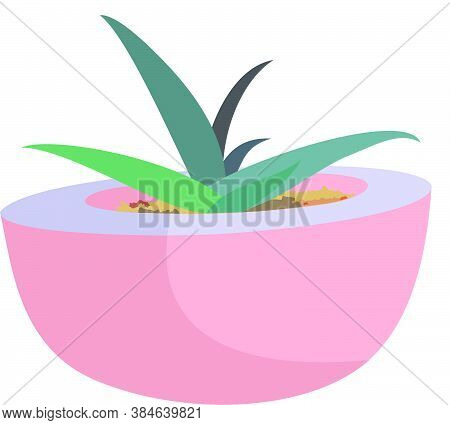 Pink Pot With Vectorized Aloe Vera Plant