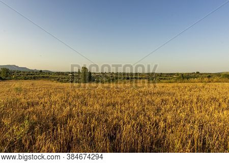 Tranquil Scene At Sunset In San Mateu