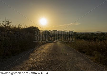 Tranquil Scene At Sunset In San Mateu