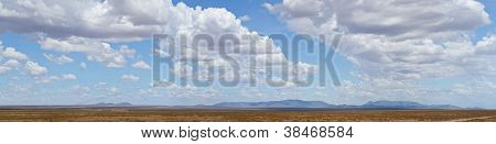 Serengeti Panorama