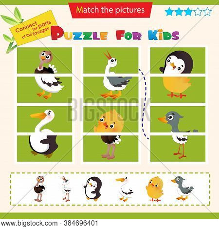 Matching Game For Children. Puzzle For Kids. Ostrich, Stork, Chick, Gosling, Penguin, Pelican.