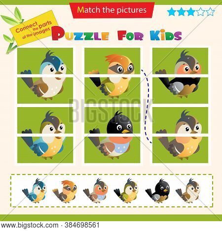 Matching Game For Children. Puzzle For Kids. Bird. Sparrow, Titmouse, Chickadee, Thrush, Nightingale