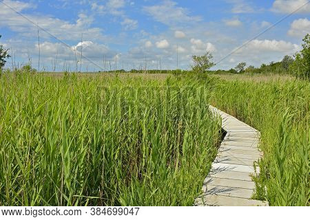 A Wooden Boardwalk In The Wetlands Of Isola Della Cona In Friuli-venezia Giulia, North East Italy