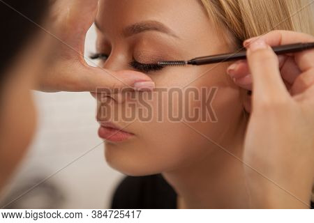Professional Makeup Artist Brushing False Lashes Of A Female Client