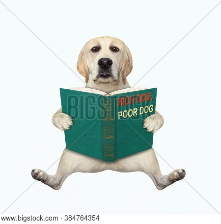 A Dog Is Sitting With A Open Green Book Called Rich Dog, Poor Dog. White Background. Isolated.