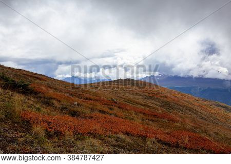 Colorful Meadow Fields On Top Of Nares Mountain During Fall Season. Located In Carcross, Near Whiteh