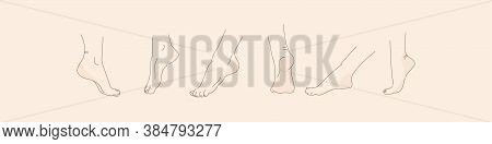 Vector Human Foot In Various Poses. Hand Drawing With A Line. Set Of Female Feet For Design.