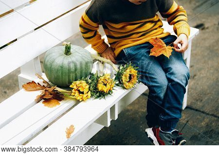 Cropped Image Of A Little Boy Sitting On White Bench With Good Autumn Harvest For Thanksgiving Day. 