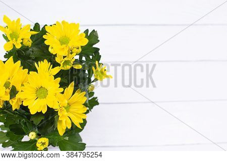 Beautiful Bouquet Of Yellow Chrysanthemum On White Wooden Background. Top View, Copy Space. Floral C