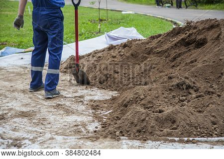 The Gardener Sprinkles A Flower Bed With A Shovel. Creation Of Landscape Design In The Garden. The M
