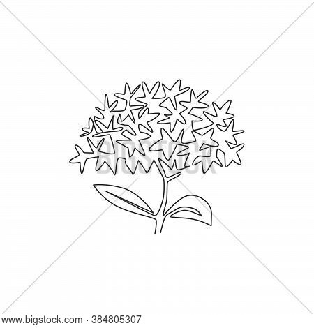 Single Continuous Line Drawing  Beauty Fresh Flower Plant For Home Decor Wall Poster Print Art. Prin