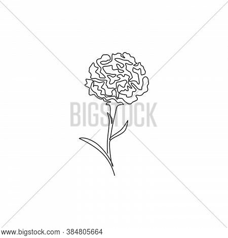 One Continuous Line Drawing Beauty Fresh Carnation For Home Wall Art Decor Print Poster. Decorative 