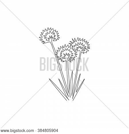 One Continuous Line Drawing Beauty Fresh Allium Tuberosum For Home Wall Decor Poster Art Print. Deco