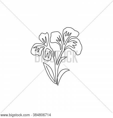 Single Continuous Line Drawing Of Beauty Fresh Canna For Garden Logo. Printable Poster Decorative Ca