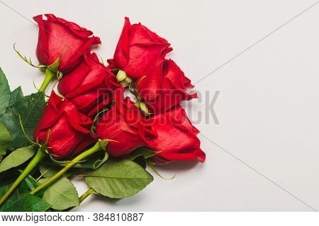 Rose Flower Background. Colorful Roses Flower Pattern. Roses Flower Bouquet. Garden Rose. Red Rose.