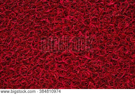 Rose Flower Background. Colorful Roses Flower Pattern. Roses Flower Bouquet. Garden Rose. Red Rose.