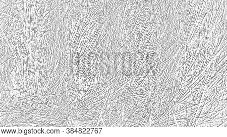 Gray And White Floral Background. Hay And Dry Grass, Single Stems, Reeds Or Sticks. Gray Dashes On A