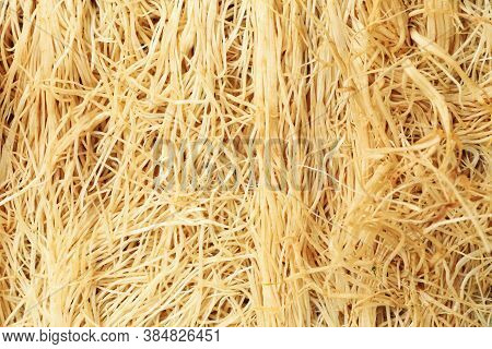 Roots Of Green Peas Sprouts On Whole Background, Close Up
