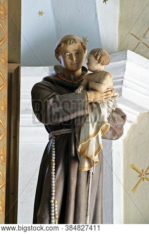 RADOBOJ, CROATIA - SEPTEMBER 21, 2014: Saint Anthony of Padua holds the child Jesus, statue on the altar of Saint Joseph in the parish church of the Holy Trinity, Radoboj, Croatia