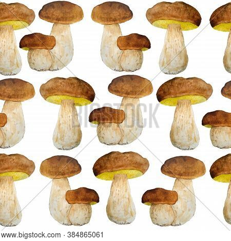 Hand Drawn Watercolor Seamless Pattern Illustration Of Porcini Cep Edible Boletus Mushroom. Forest W