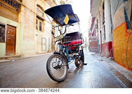 Dog In A Bicycle Taxi In Old Havana / Cuba