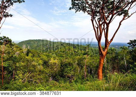 View Of Las Terrazas In Pinar Del Rio Province, Cuba
