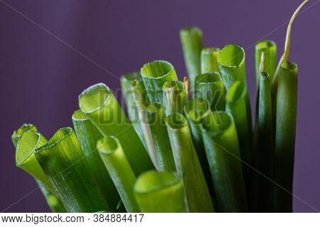 Green Onions Macro Purple Background Close Up Nature Veggies