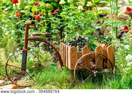 Bicycle-shaped Flower Stand On A Flower Bed In The Garden