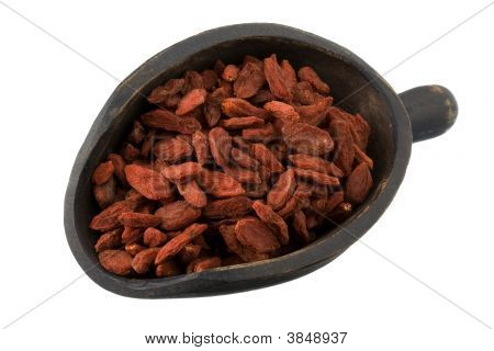 Colher de bagas de Goji tibetano secas (Wolfberries)