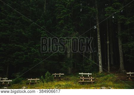 Lonely Wooden Bench Against The Backdrop Of Huge Pine Forests
